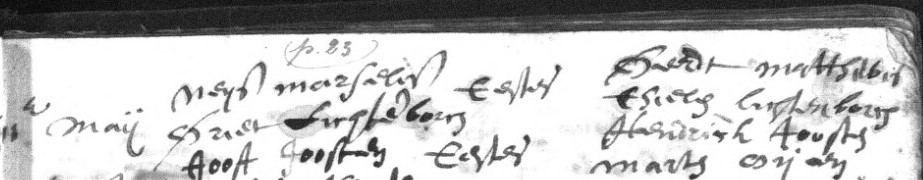 neijs_marselis__en_griet_lichtenborch_trouwen_op_11_mei_1631_in_tessenderlo_voor_de_kerk_-_tessenderlo_sint_martinus_huw._1615-1661_p._23.jpg