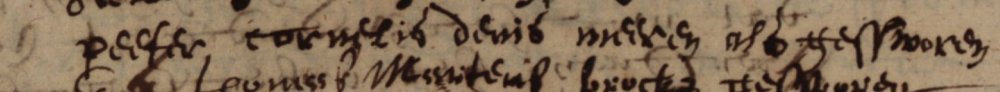 meeren_peeter_cornelis_denis__handtekening_als_gesworene_van_het_catholicq_corpus_van_ginneken_op_20_februari_1652.jpg